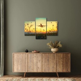 Tablou cu avionul ridicându-se spre zbor (90x60 cm)