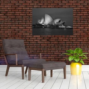 Tablou cu Opera din Sydney (90x60 cm)