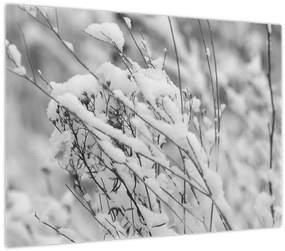 Tablou - Ramuri înzăpezite (70x50 cm)
