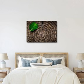 Tablou cu frunză pe trunchi de copac (70x50 cm)