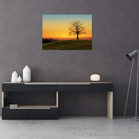 Tablou pe sticlă - Copacul în câmp (70x50 cm)