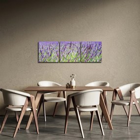 Tablou - Lavandă în câmp (cu ceas) (90x30 cm)