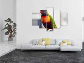 Tablou cu papagal (150x105 cm)