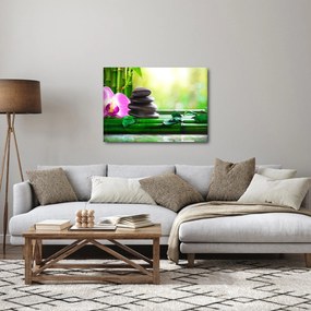 Tablou cu pietre pentru masaj și orhidee (70x50 cm)