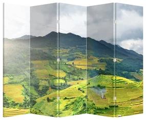 Paravan -Plantație (210x170 cm)
