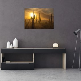 Tablou pe sticlă - Cactuși Saguaro (70x50 cm)