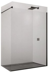 Paravan de dus SanSwiss, Easy, 70 x 200 cm, profil negru mat