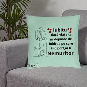 Cadou pentru Iubit - Perna Personalizata Iubitu Nemuritor cu Cuplu Line-Art si Inimi Rosii, 40x40 cm, Verde Menta, Husa Detasabila, Perna Inclusa, BEKZ®