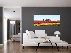 Tablou cu farma de lalele (120x50 cm)