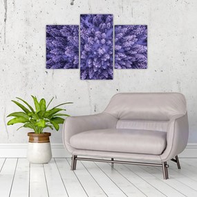 Tablou cu copacii înzăpeziți (90x60 cm)