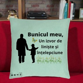 Cadou pentru Bunic - Perna Personalizata Bunicul Meu Izvor de Liniste cu Fluture si Baietel, 40x40 cm, Verde Menta, Husa Detasabila, Perna Inclusa, BEKZ®