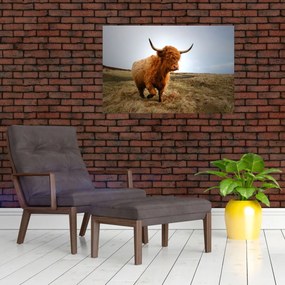 Tablou - Vaci scoțiene (90x60 cm)