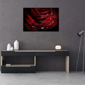 Tablou - Trandafir (90x60 cm)