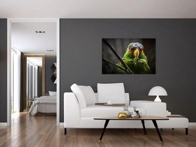 Tablou cu papagal (90x60 cm)