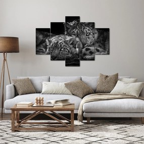 Tablou - Gheparzi care se odihnesc (150x105 cm)
