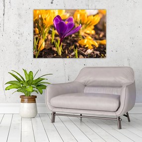Tablou cu floare violetă (90x60 cm)