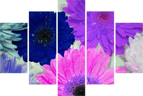 Tablou cu flori colorate (150x105 cm)