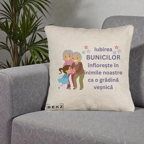 Cadou pentru Bunici - Perna Personalizata Bunicii Iubirea Infloreste Bunici cu Nepoata Colorat, 40x40 cm, Bej Canapea, Husa Detasabila, Perna Inclusa, BEKZ®