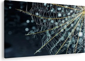 Tablou - Floare cu pânză de pâianjen (90x60 cm)
