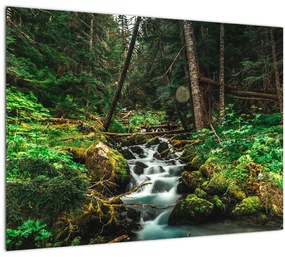 Tablou pe sticlă cu pârău în pădure (70x50 cm)