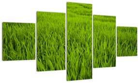 Tablou cu iaraba (125x70 cm), în 40 de alte dimensiuni noi