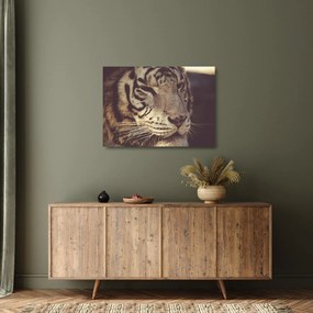 Tablou pe sticlă cu tigrul (70x50 cm)