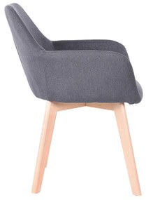 Fotoliu de design Clorita (Gri închis). 1016549