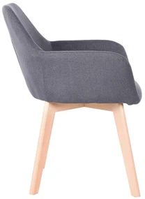 Fotoliu de design Clorita (Gri închis). 1016549