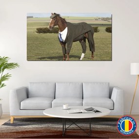 Tablou canvas cal - horse - imbracat la costum - 120x80cm