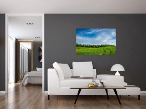 Tablou cu luncă (90x60 cm)