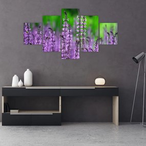 Tablou cu flori de luncă violete (125x70 cm), în 40 de alte dimensiuni noi