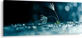 Tablou - Macro (120x50 cm)