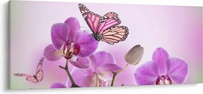 Tablou - Fluture pe flori de orhidee, liliac (120x50 cm)