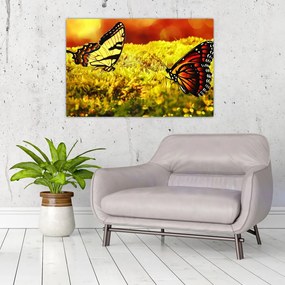 Tablou cu fluturi (90x60 cm)