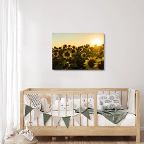 Tablou pe sticlă cu lan de floarea soarelui (70x50 cm)