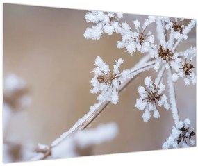 Tablou - Îngheț (90x60 cm)