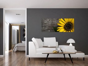 Tablou - Floare de floarea soarelui (120x50 cm)