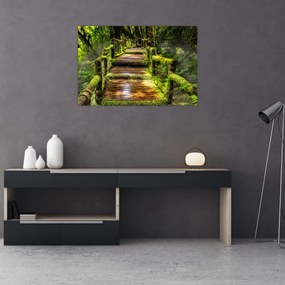 Tablou cu scări într-o pădure tropicală (90x60 cm)