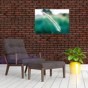 Tablou cu fir de iarbă (70x50 cm)