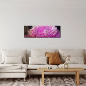 Tablou cu floare în fum roz (cu ceas) (90x30 cm)