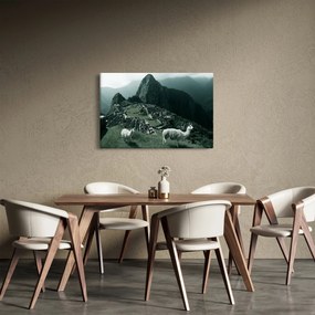 Tablou - Lamas la Machu Picchu în Peru (90x60 cm)