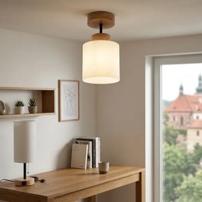 BRILAGI - LED Plafonier aplicat RETRO GLASS 1xE27/60W/230V Ø 10 cm stejar/alb