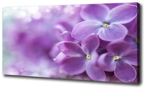 Tablou canvas Flori de liliac