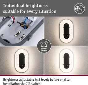 Paulmann 94958 - LED/18,5W IP65 Aplică de perete pentru exterior reglabilă ELUNOR 230V