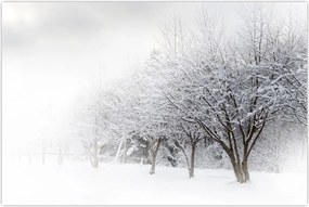 Tablou - Aleea de iarnă (90x60 cm)