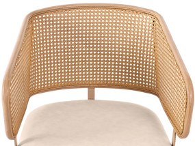 Set de 2 scaune de sufragerie cu spătar din ratan, Bej+Maro | Aosom Romania