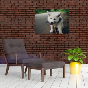 Tablou cu câinele alb (70x50 cm)