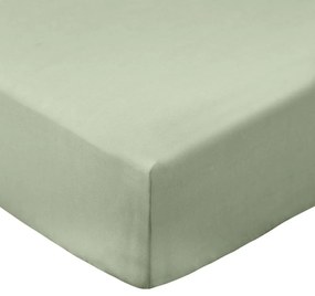 Cearceaf verde din bumbac percal cu elastic 150x200 cm Cotton Percale – Bianca