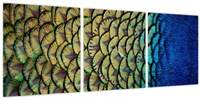 Tablou - Pene de păun (cu ceas) (90x30 cm)