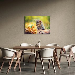 Tablou cu pisicuța uitându-se la floare (70x50 cm)